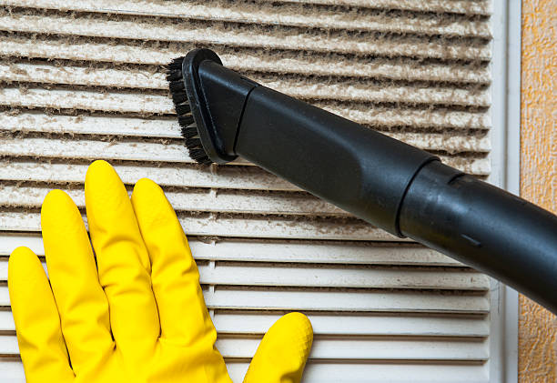 Best Mold and Mildew Removal from Ducts in Shougal, WA